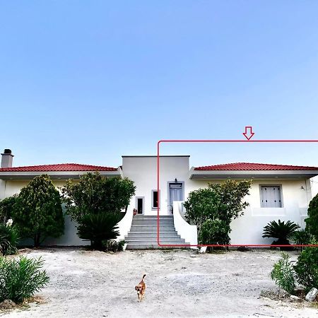 Evgatisbeach Loyskoy 2 Myrina Dış mekan fotoğraf